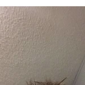 Meet your Posher, Bowles